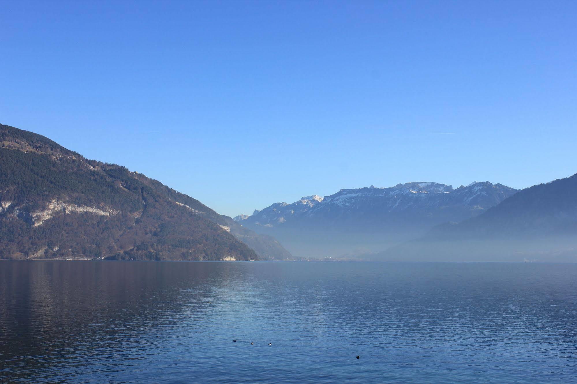Strandhotel Seeblick Faulensee Esterno foto